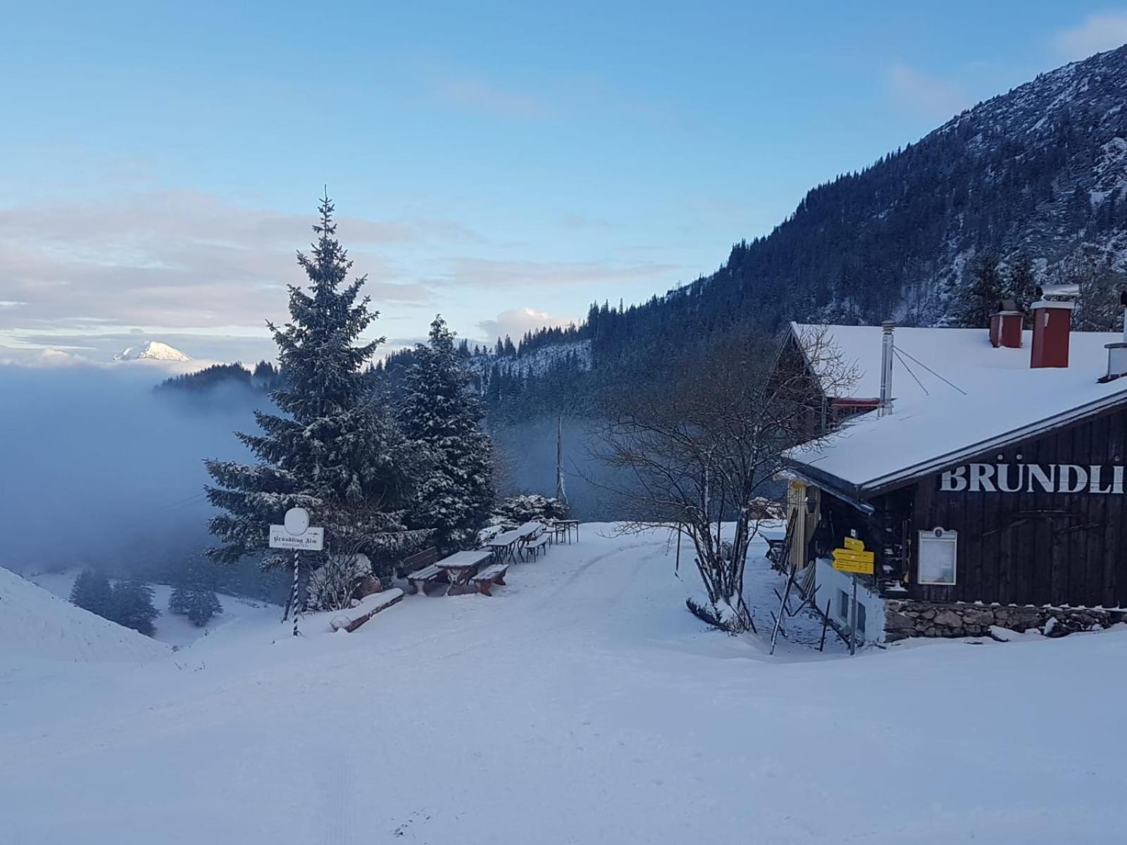 Bruendling-Alm Berggasthof Auf 1167M Auf Dem Hochfelln Bergen  Zewnętrze zdjęcie