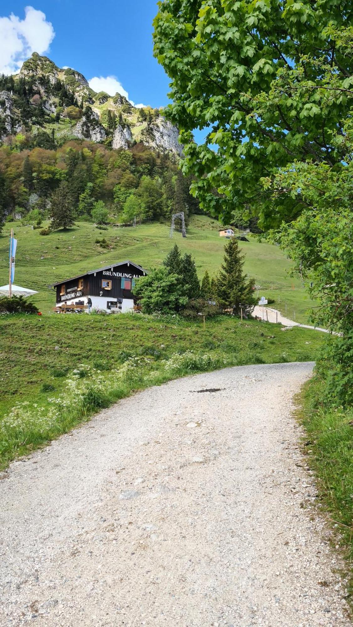 Bruendling-Alm Berggasthof Auf 1167M Auf Dem Hochfelln Bergen  Zewnętrze zdjęcie